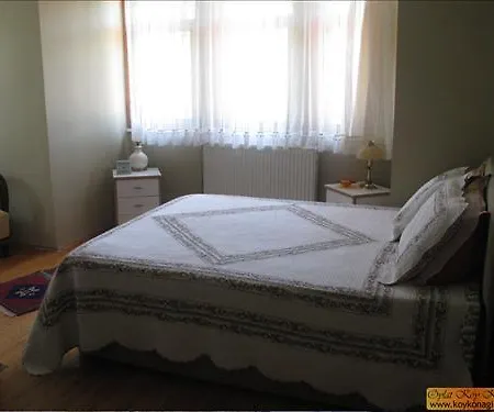 Oylat Village Thermal Springs Hotel Inegol